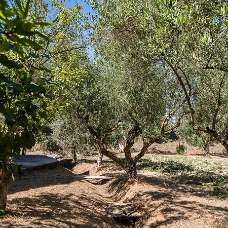 Apartament Corfu Poulos *