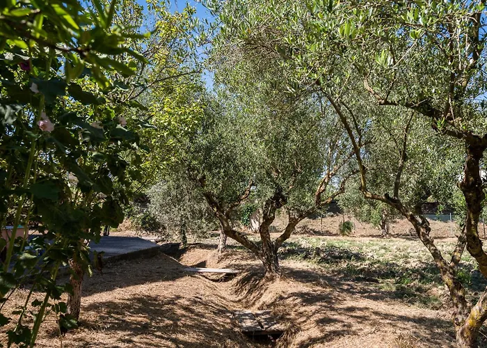 Apartament Corfu Poulos *