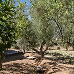Apartman Corfu Poulos *